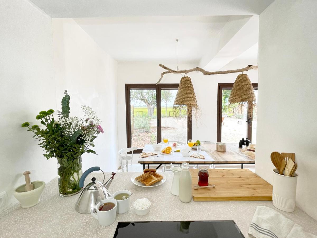 Mas D'En Mas Villa Camarles Екстериор снимка